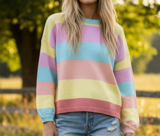 F25 S+Seen Pastel Stripe Sweater